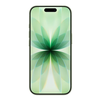 Refurbished Apple iPhone 17 Sage UK used iPhone image 2